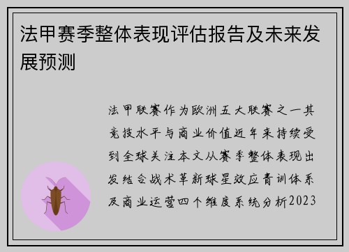 法甲赛季整体表现评估报告及未来发展预测